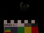 V19d8224 J1q864.5 Q921 dM f233 la.jpg
